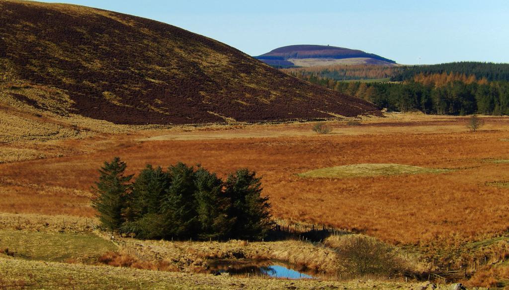 Scotland Paradise Relax Accommodation By Shooting Club Kirriemuir Balintore  Екстер'єр фото