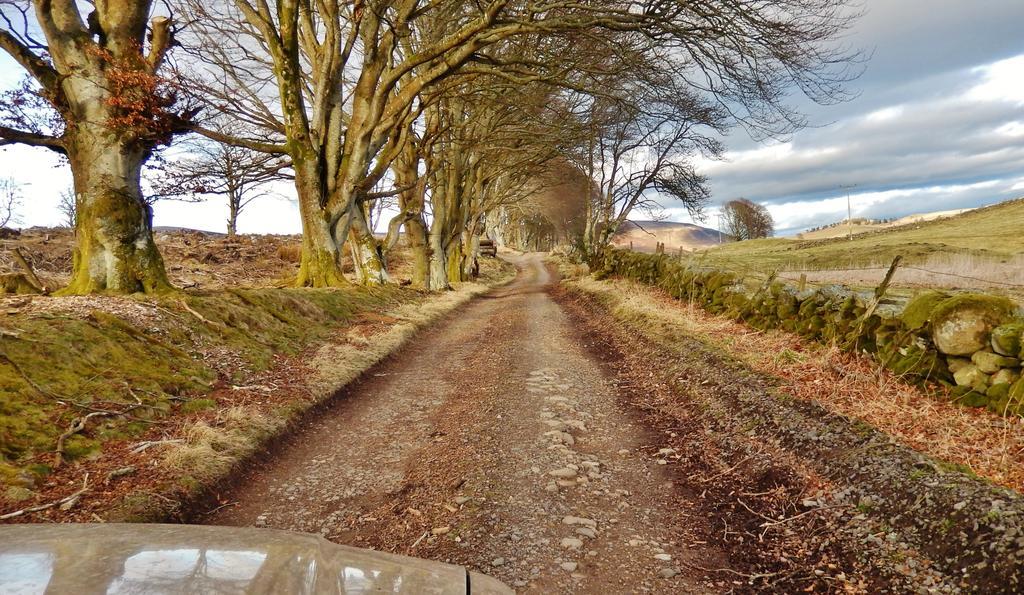 Scotland Paradise Relax Accommodation By Shooting Club Kirriemuir Balintore  Екстер'єр фото