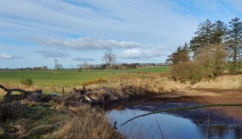 Scotland Paradise Relax Accommodation By Shooting Club Kirriemuir Balintore  Екстер'єр фото